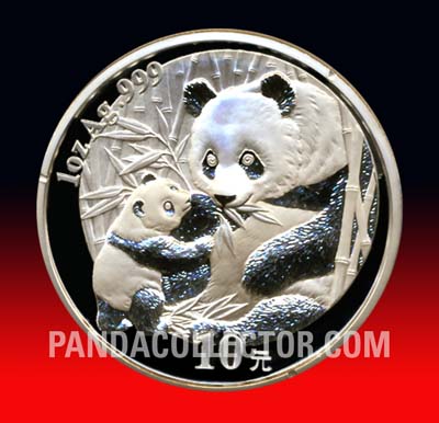 2005 Silver Panda