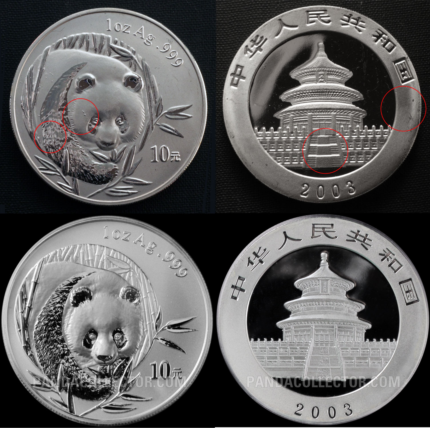 Fake silver panda coins